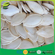 China organic pumpkin seeds in shell for Europe